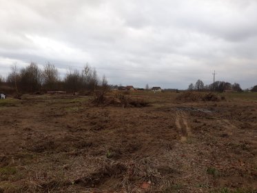 Wycinka drzew, krzewów i traw, karczowanie działek