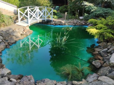 Budowa, aranżacja oczek wodnych