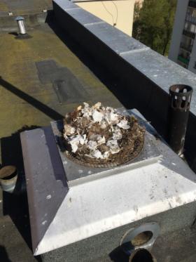 Witam przeprowadzę badanie szczelności instalacji gazowej w Państwa zasobach mieszkalnych