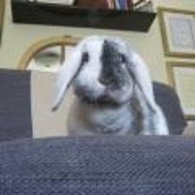 Psychoterapia/Terapia dzieci/Psychiatria/Diagnoza/Seksuologia/Psychoterapia uzależnień