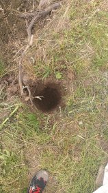 Ogrodzenia tymczasowe z sepli drewnianych