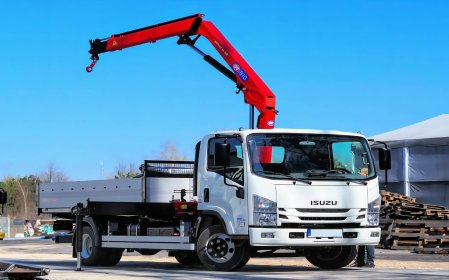 Auto Dostawcze z HDS