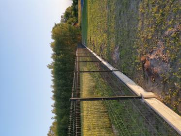 Montaż ogrodzeń panelowych