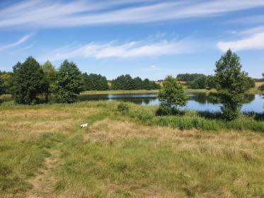 ZAORANIE I WYBRONOWANIE 0,5HA PASYM