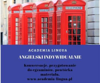 angielski indywidualnie