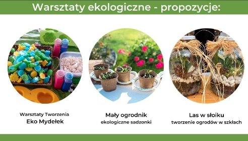 Pikniki ekologiczne, eko eventy, festyny ekologiczne, imprezy firmowe CSR