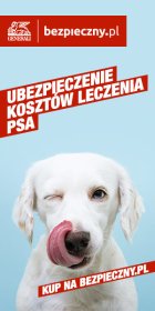 ubezpieczenie dla psów ,nowość na rynku Polskim
