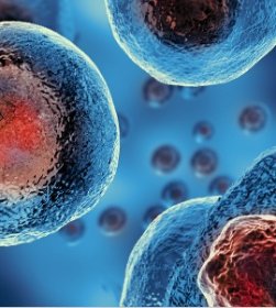 Wypożyczę komorę HBOT dla celów odnowy biologicznej, wellness