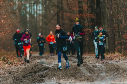 Plan treningowy online