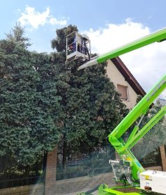 Wycinka i ścinanie drzew. Przycinanie gałęzi i krzewów. Pielęgnacja ogrodów.