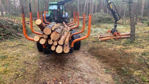 Wycinka czyszczenie działek