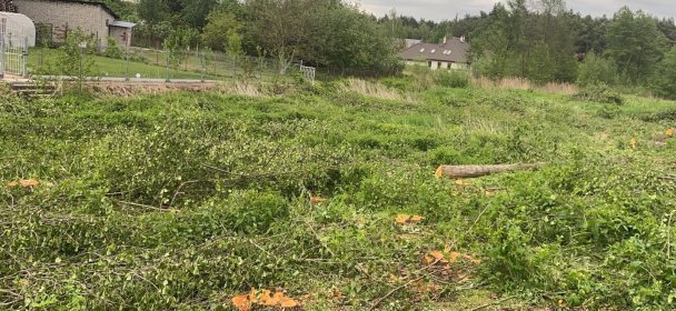 Karczowanie działek sadow itp