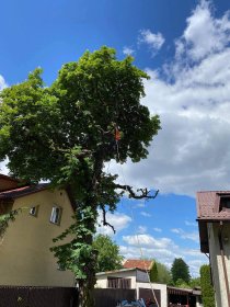 Wycinka alpinistyczna