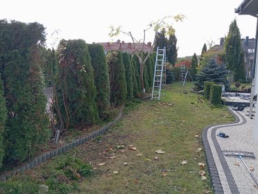 Profesjonalna Pielęgnacja Ogrodów i Trawników
