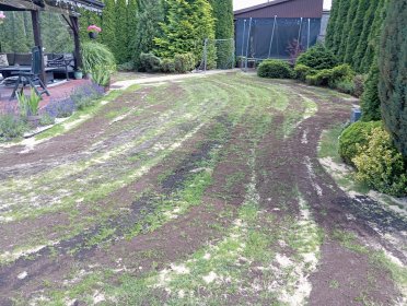 Profesjonalna pielęgnacja trawników – kompleksowa obsługa