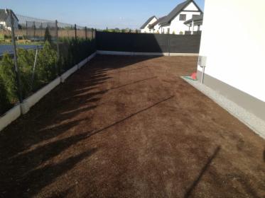 Zakładanie trawnika z siewu lub z rolki