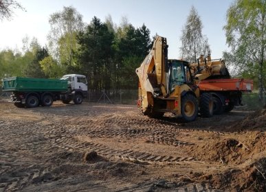 Czyszczenie, karczowanie działek, wycinka drzew