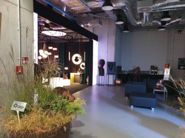 Sprzątanie mieszkań