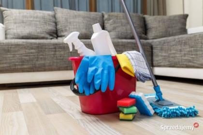 Sprzątanie domu, mieszkania