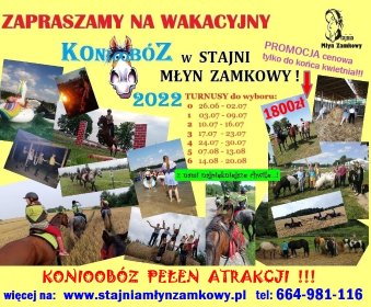 WAKACJE w stajni ! KONIOOBÓZ