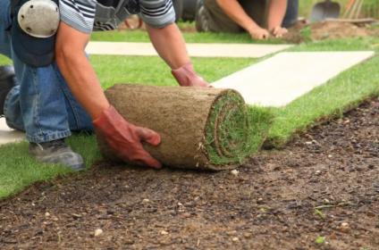 Projektowanie ogrodów | Trawa z rolki | Kompleksowa obsługa ogrodów