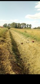 Koszenie traw na ogrodach i działkach i inne prace ogrodowe