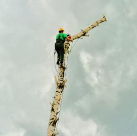 Wykonywanie prac specjalistycznych.