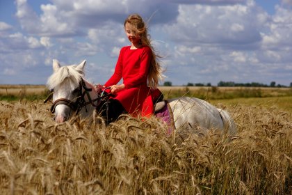 Szkółka Jeździecka Husaria.