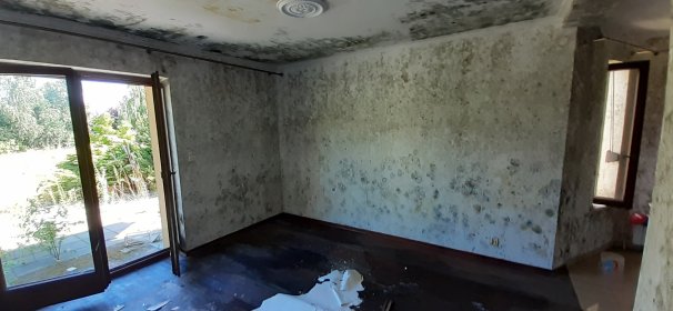 Odgrzybianie i ozonowanie