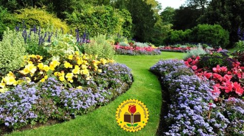 Aranżacja ogrodu - projekt ogrodu.