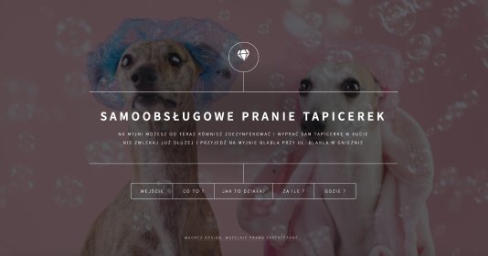 Responsywne, nowoczesne, przejrzyste strony www