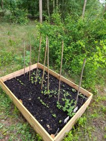Oferujemy Państwu kompleksową usługę zakładania ogrodu warzywnego lub ziołowego od podstaw