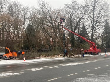 Wycinka drzew, Wynajem/Usługi rębakiem, Podnośnik koszowy, pozostałe prace ogrodnicze
