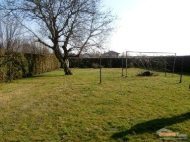 Pracę ogrodowe oraz działkowe.