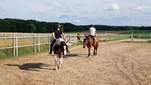 Nauka jazdy konnej