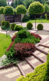 Prace ogrodnicze, zakładanie ogrodów