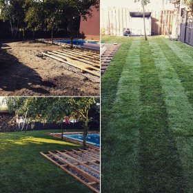 Zakładanie trawników