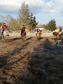 Świetna nauka jazdy konnej