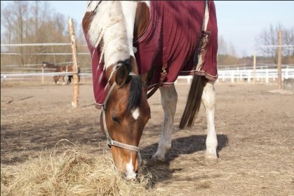 Trening z pensjonatem