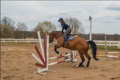 Dzierżawa konia z treningami sportowymi