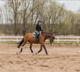 Treningi ujeżdżeniowe dla skoczków