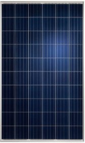 Panele Luxor Solar Ecoline LX 275P 156 / 60 poli