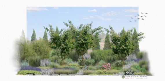 Projekt rabaty/szaty roślinnej