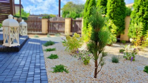 Kompleksowe projektowanie oraz wykonywanie ogrodów przydomowych, tarasów oraz pergoli.