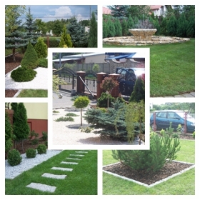 Ogrody - kompleksowe usługi ogrodnicze, zakładanie trawników, oczka wodne