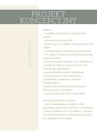 Projekt Koncepcyjny