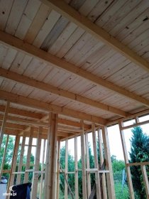 Budowa domów drewnianych