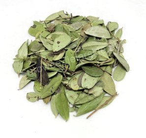 Sprzedam Borówkę brusznica liść (Vitis idaea folium)