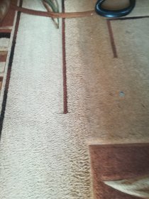 Sprzątanie mieszkań