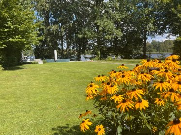 Pielęgnacja ogrodów oraz terenów zieleni